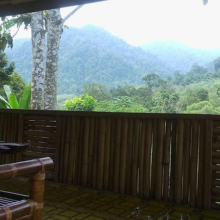 Batu Kapal Jungle Houses 호텔 베라스타기 외부 사진