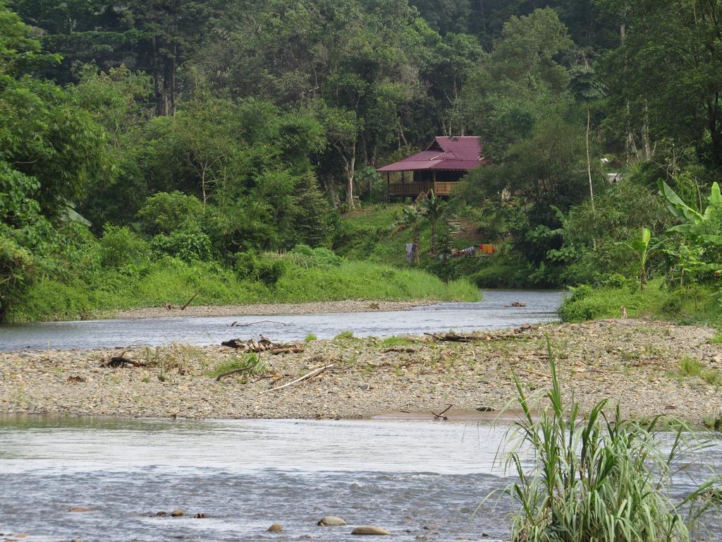 Batu Kapal Jungle Houses 호텔 베라스타기 객실 사진