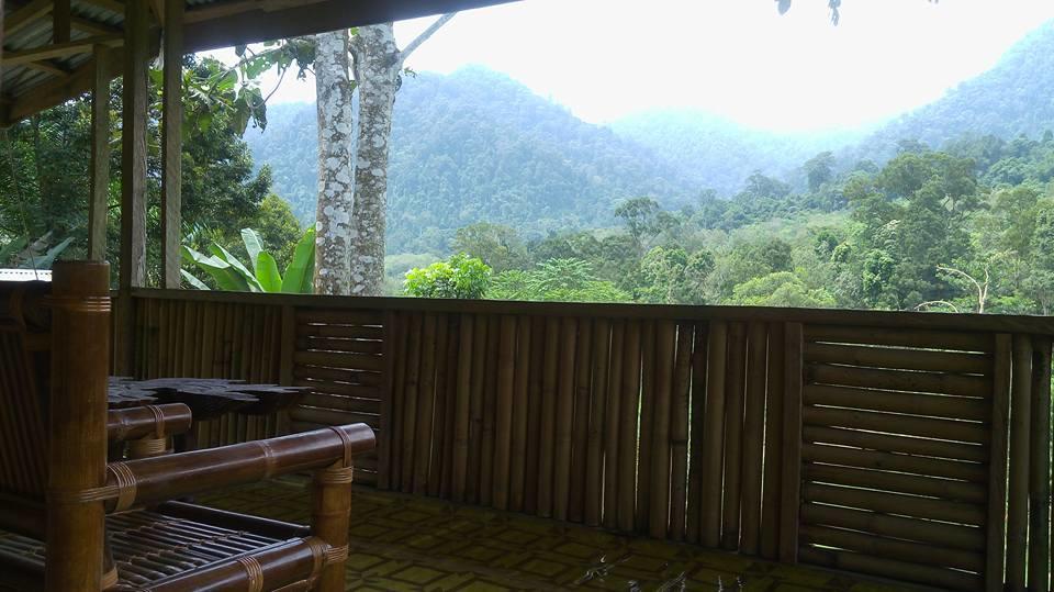 Batu Kapal Jungle Houses 호텔 베라스타기 외부 사진