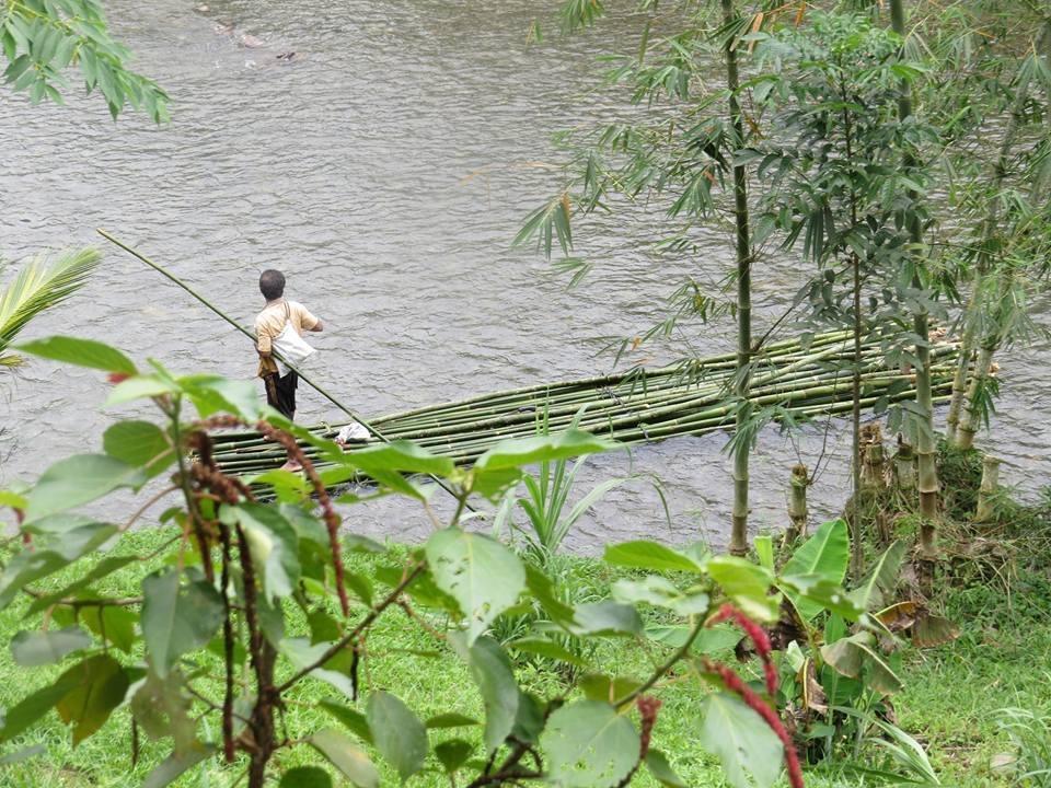 Batu Kapal Jungle Houses 호텔 베라스타기 외부 사진