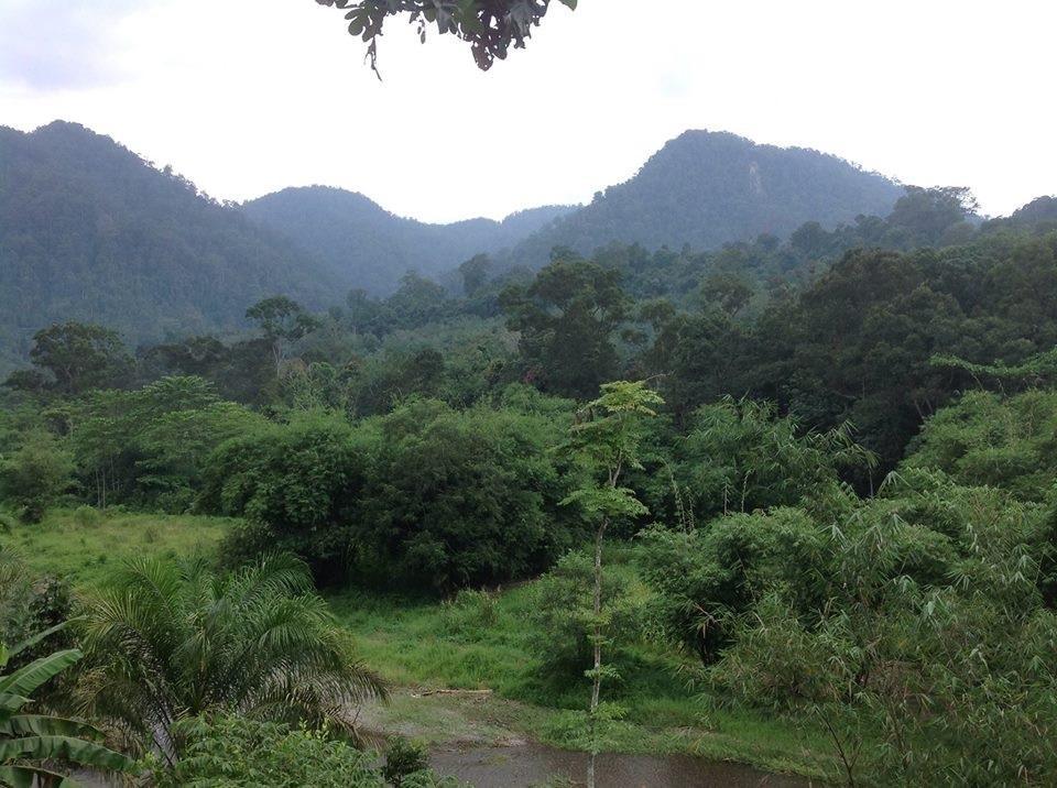 Batu Kapal Jungle Houses 호텔 베라스타기 외부 사진