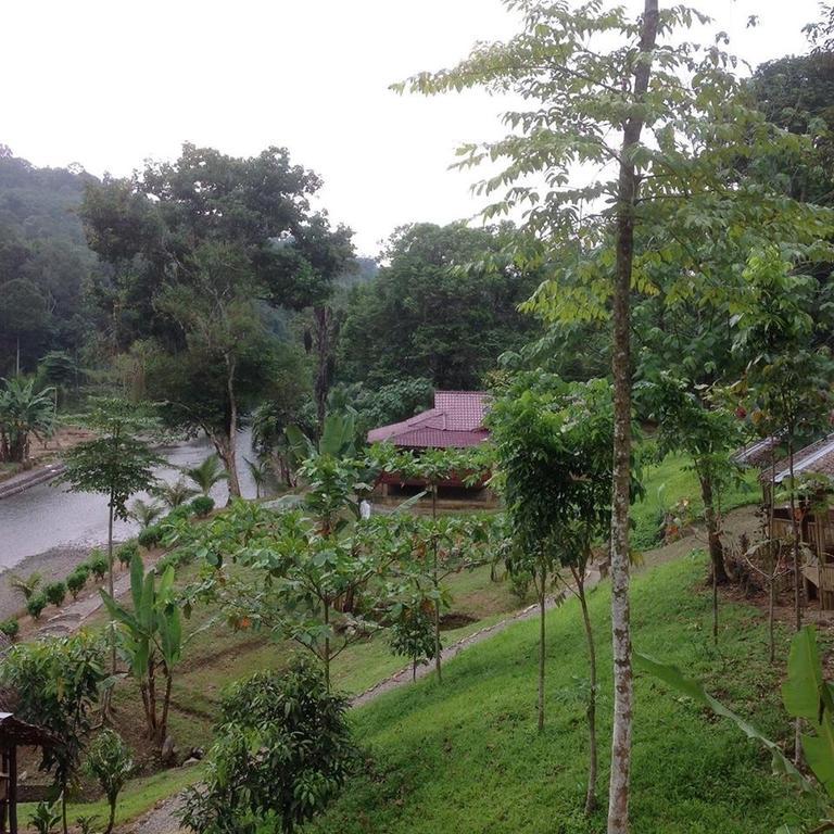 Batu Kapal Jungle Houses 호텔 베라스타기 외부 사진