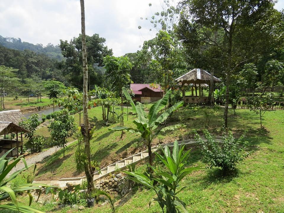 Batu Kapal Jungle Houses 호텔 베라스타기 외부 사진