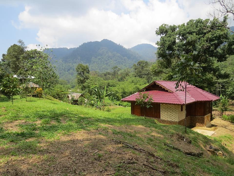 Batu Kapal Jungle Houses 호텔 베라스타기 외부 사진