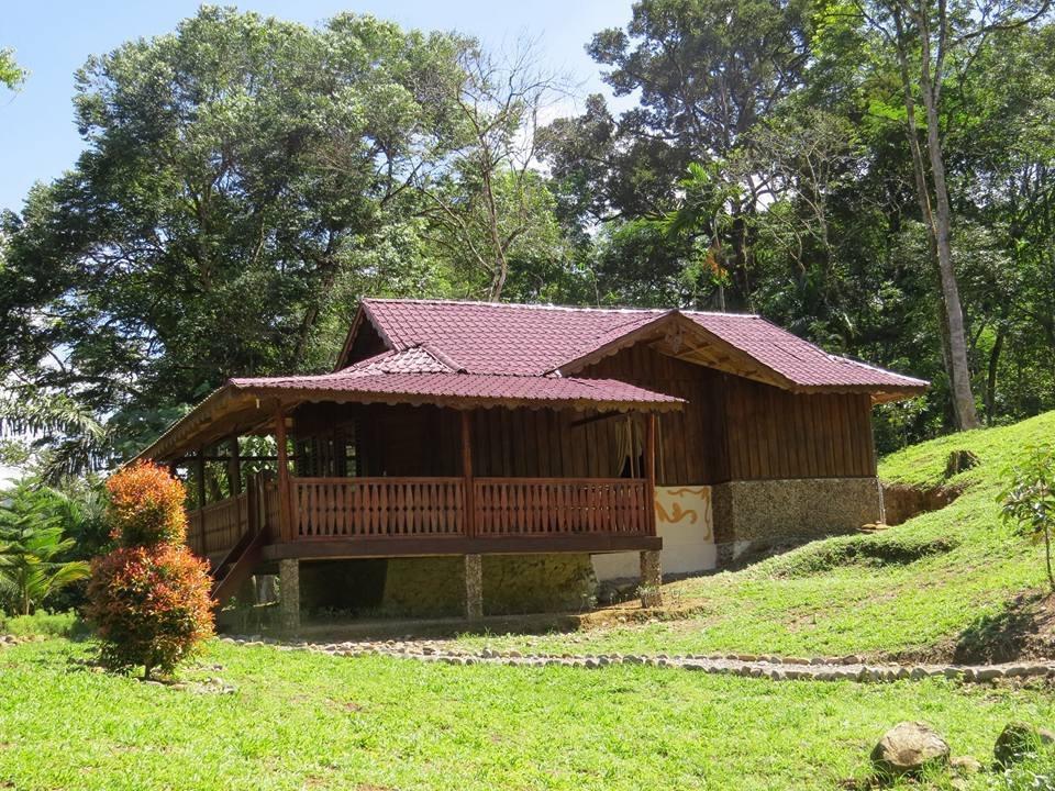 Batu Kapal Jungle Houses 호텔 베라스타기 외부 사진